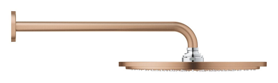 juego de ducha de mano - 1 chorro - Ø 310 mm - brazo de ducha 380 mm